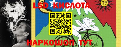 дмт Новозыбков