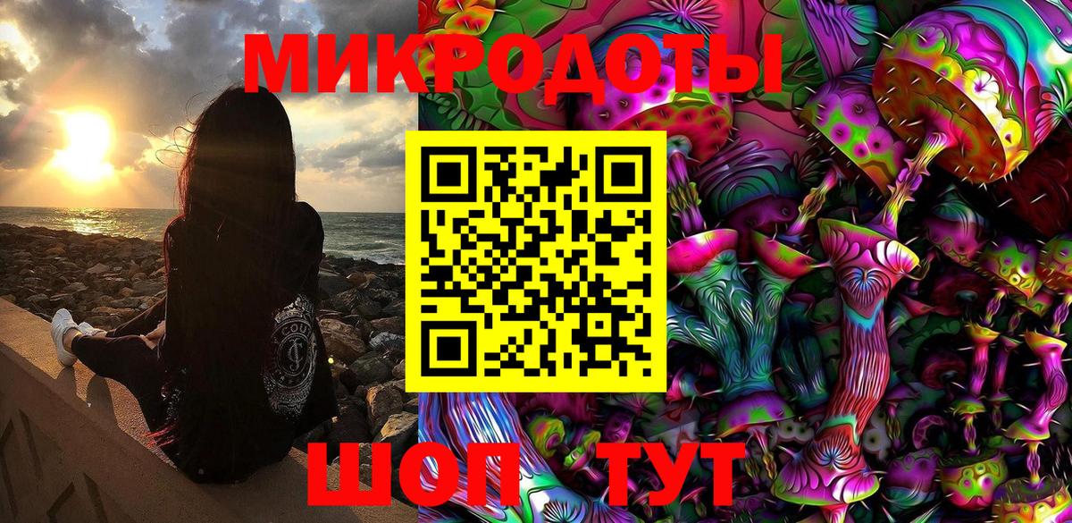 Псилоцибиновые грибы Psilocybine cubensis Орск