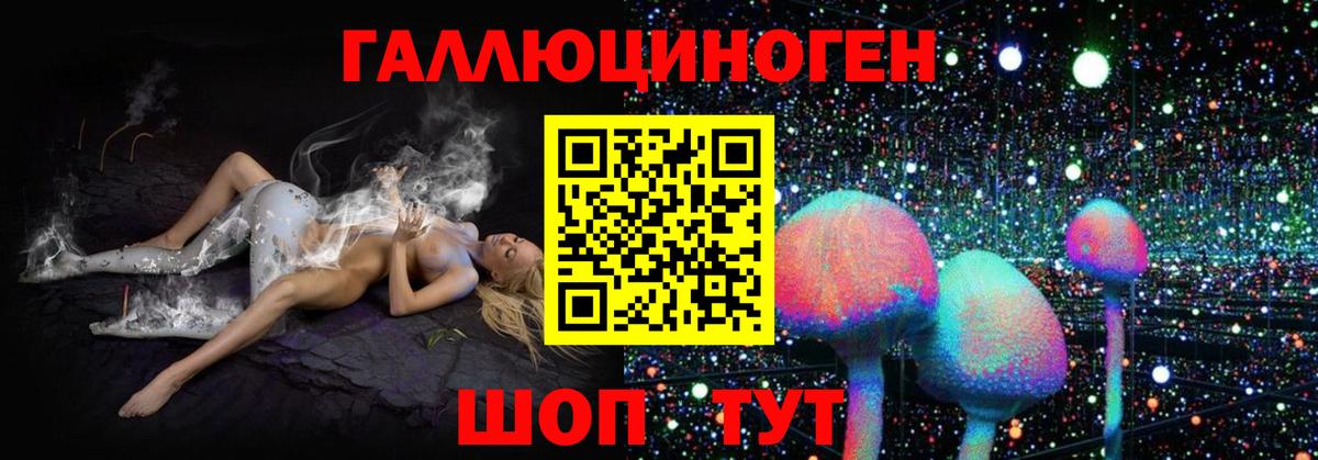 Галлюциногенные грибы GOLDEN TEACHER  Псилоцибиновые грибы мухоморы  Орск  Вход с VPN 