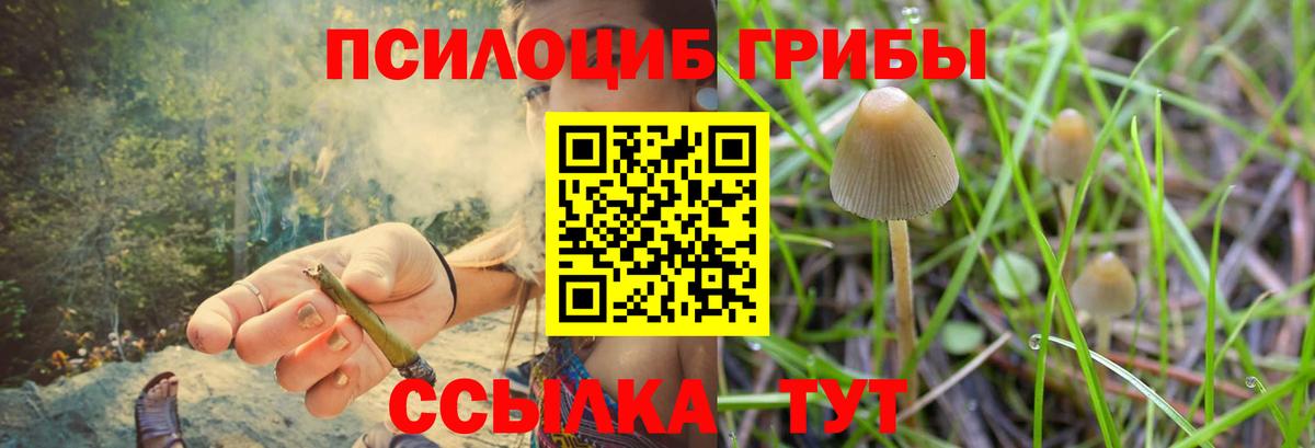Галлюциногенные грибы ЛСД Орск